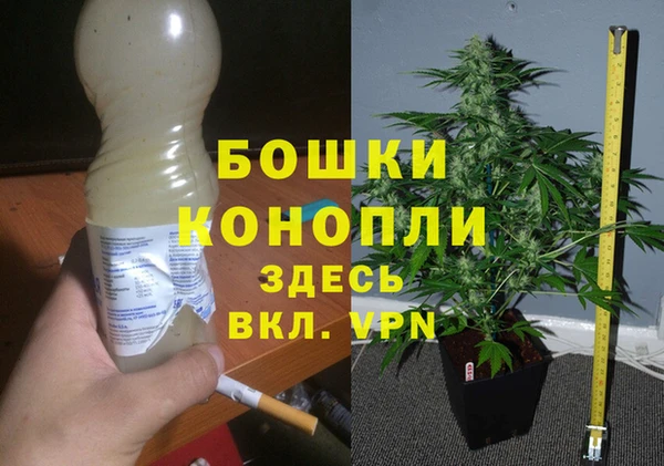прущий лед Верея