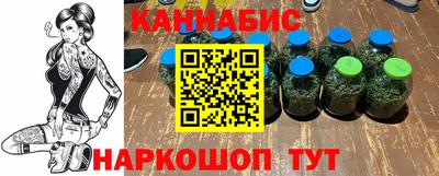 индика Дубна