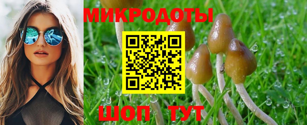 Галлюциногенные грибы прущие грибы Мариинск