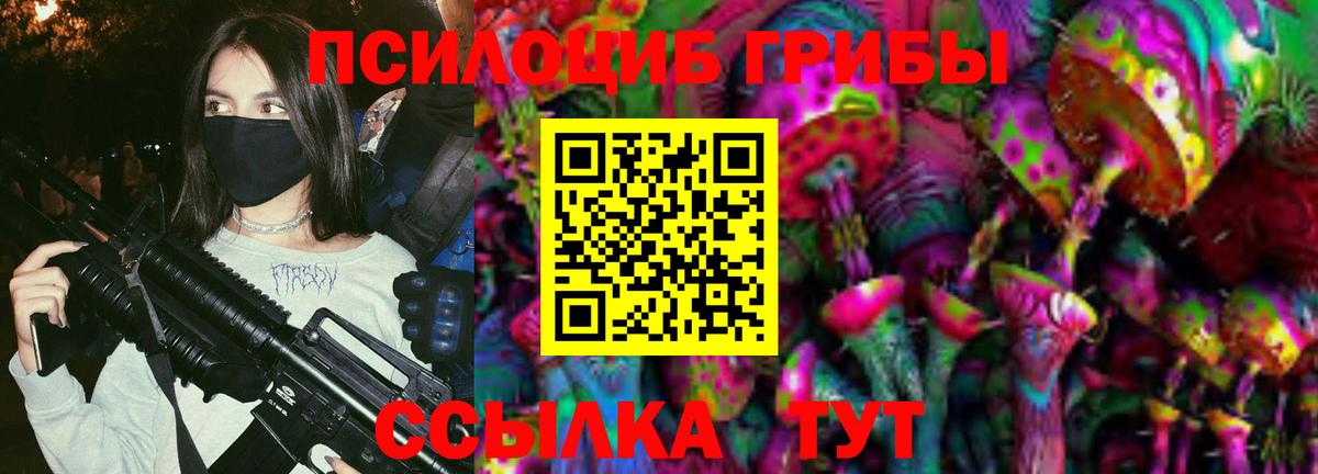 Псилоцибиновые грибы Psilocybine cubensis  Вход с VPN  Мариинск 